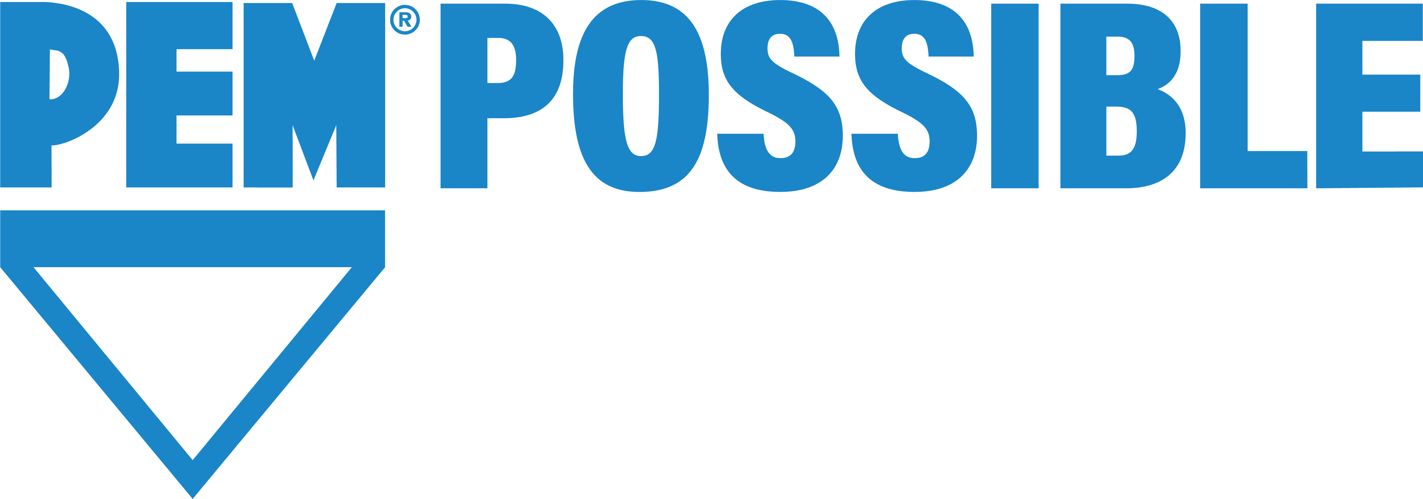 PEM logo